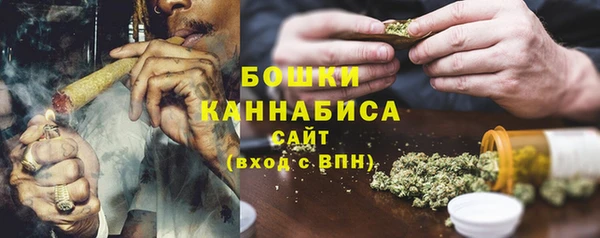 шишки Осинники
